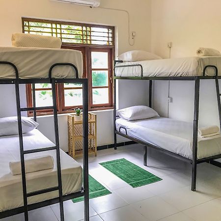 Jakie są najlepsze hotele w pobliżu lokalizacji Our Turtle Conservation Project? Dehiwala-Mount Lavinia Zewnętrze zdjęcie